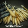 White/Brown