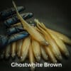 GhostWhite/Brown