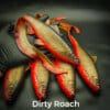 Dirty Roach