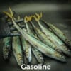 Gasoline