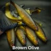 Olive Brown