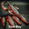 Red Boy