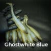 GhostWhite-blue