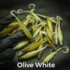 Olive White