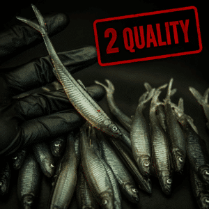 2 Quality Smelt V-Tail 13cm