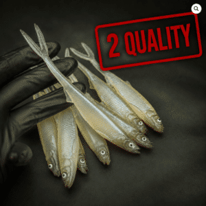 Smelt V-Tail 17cm 2 Quality