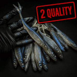 OUTLET 2 Quality 20cm Smelt V-Tail