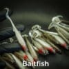Baitfish