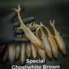 Special Ghostwhite Brown