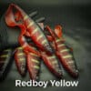 RedBoy Yellow
