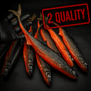 Smelt 37 V-Tail 2 Quality