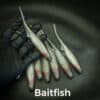 Baitfish