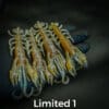 Limited1