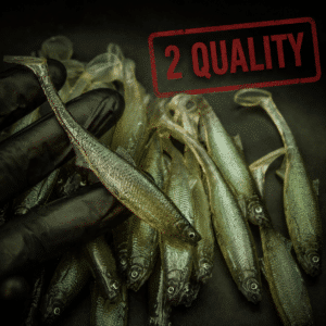 Bleak Paddle Tail 10cm 2 Quality