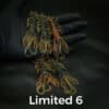 Limited6
