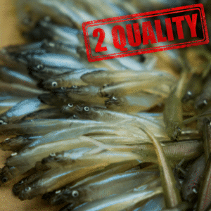 2 Quality Real Tail 8cm