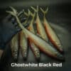 Ghostwhite Black/Red