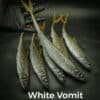 White Vomit
