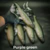 Purple Green