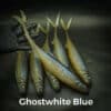 GhostWhite-blue