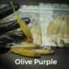 Olive/Purple