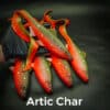 Artic Char