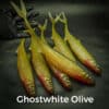 GhostWhite/Olive